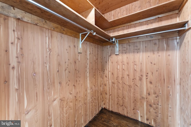 walk in closet with dark wood-style floors