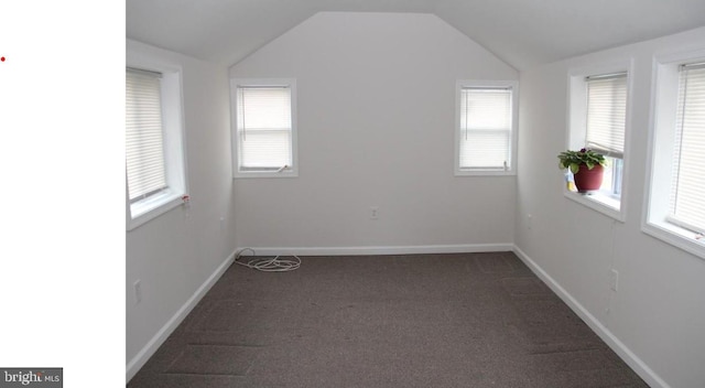 carpeted spare room with lofted ceiling and a healthy amount of sunlight