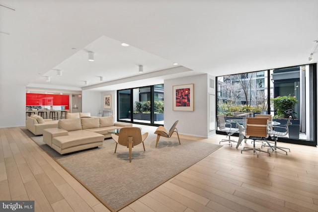 living area featuring a wall of windows, a raised ceiling, and light wood-style flooring