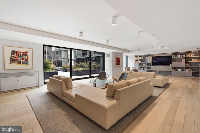 living room featuring light wood-style floors