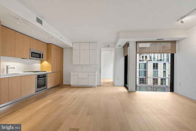 kitchen featuring light countertops, appliances with stainless steel finishes, modern cabinets, and light wood-style floors