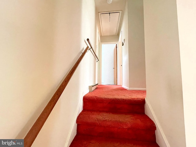 stairs with carpet flooring and a baseboard radiator