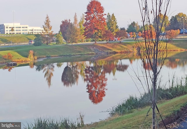 view of water feature