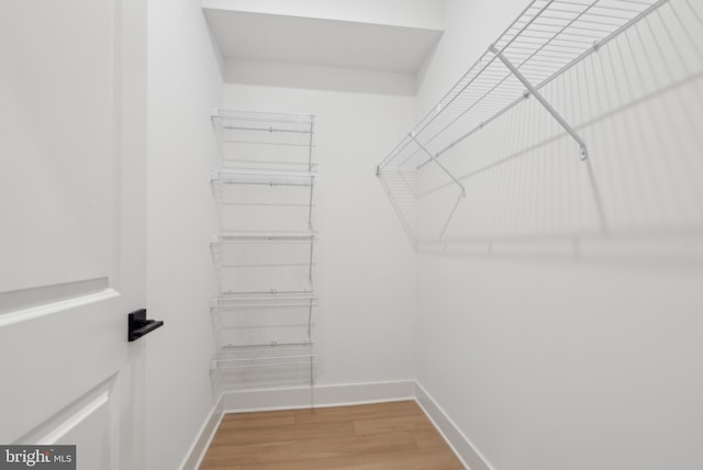 walk in closet with wood-type flooring