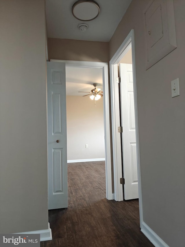 hall with electric panel and dark hardwood / wood-style flooring