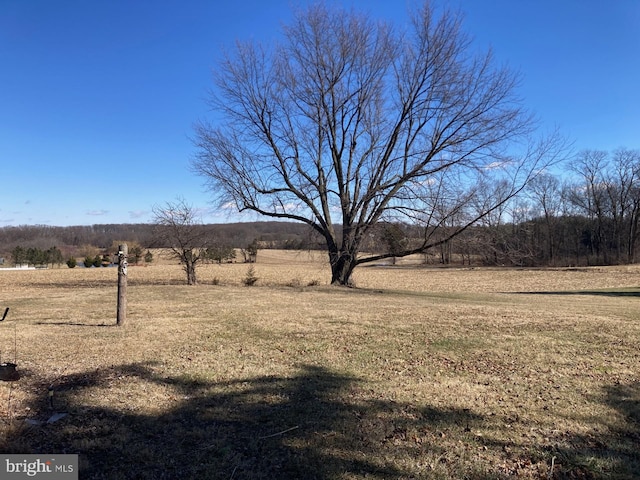 view of yard with a rural view