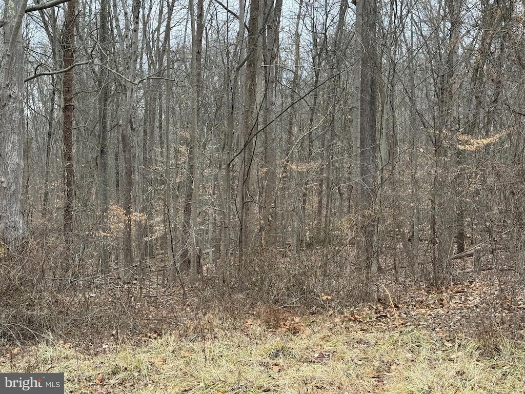 view of local wilderness with a forest view