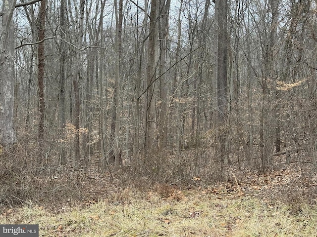 view of local wilderness with a forest view