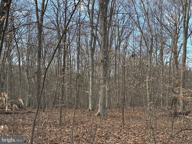 view of local wilderness