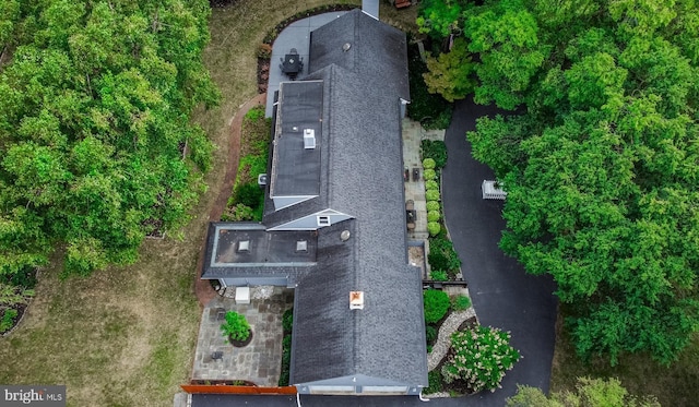 aerial view