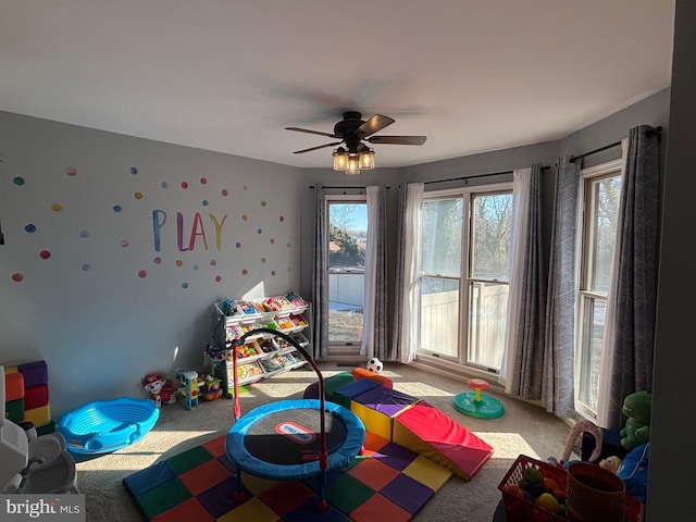 rec room with carpet