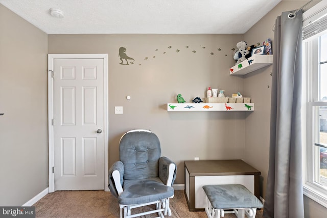 sitting room featuring a textured ceiling and carpet flooring