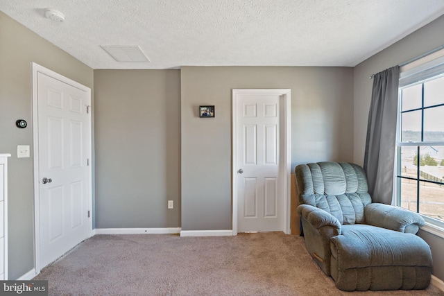 sitting room with a textured ceiling and light colored carpet