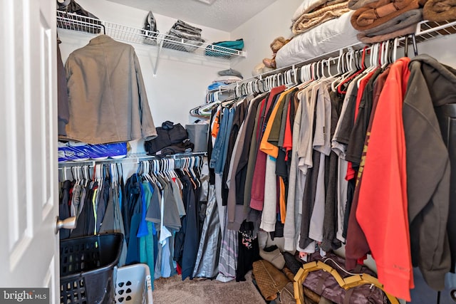 walk in closet with carpet floors