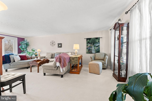 carpeted living room with ornamental molding and a textured ceiling