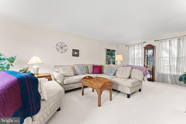 living area with carpet and ornamental molding