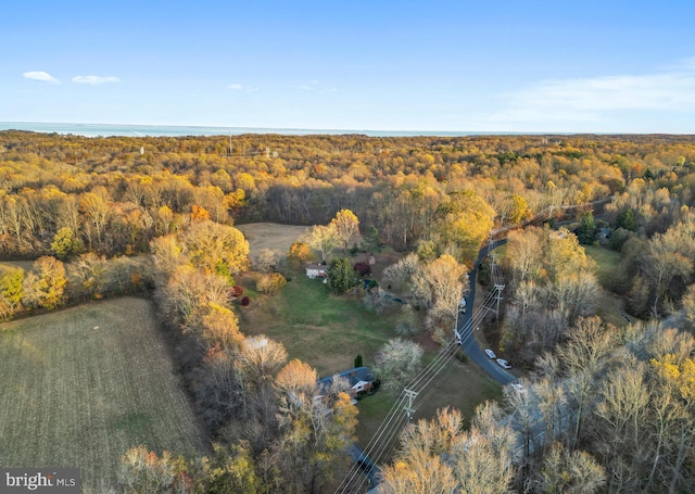 bird's eye view featuring a forest view