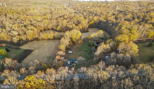 bird's eye view featuring a view of trees