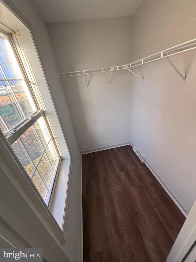 walk in closet featuring dark hardwood / wood-style flooring