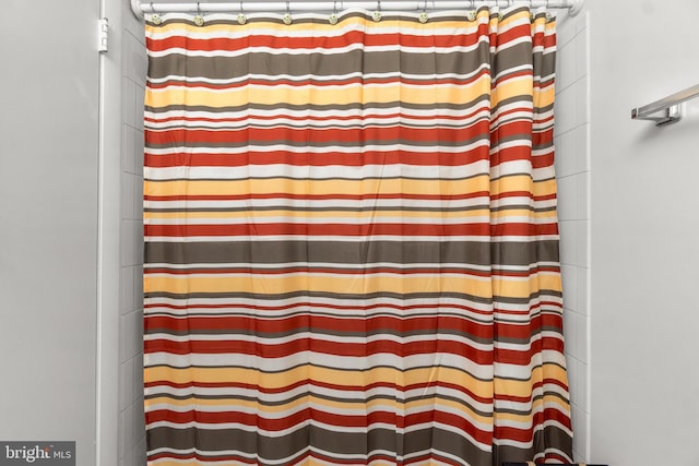 interior details with a shower with shower curtain