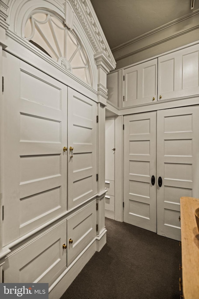 spacious closet featuring dark colored carpet