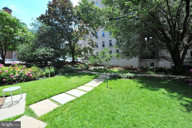 view of property's community with a lawn