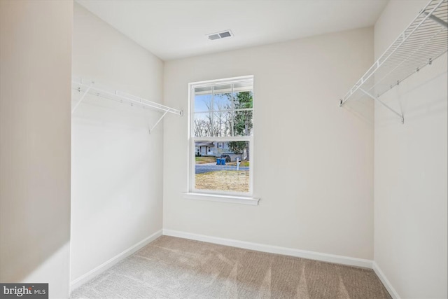 spacious closet featuring carpet floors