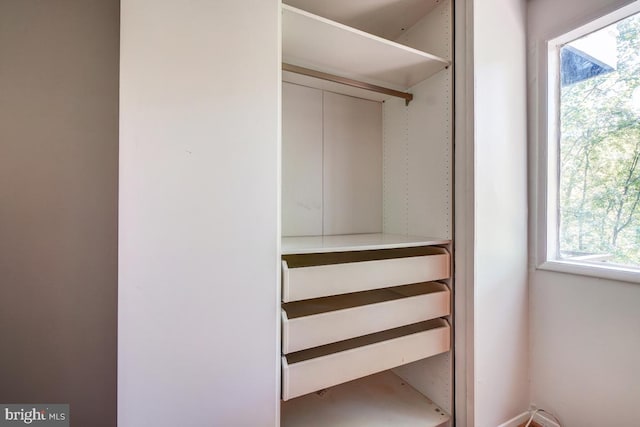 view of closet