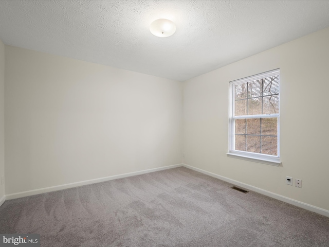 spare room with carpet floors and a textured ceiling