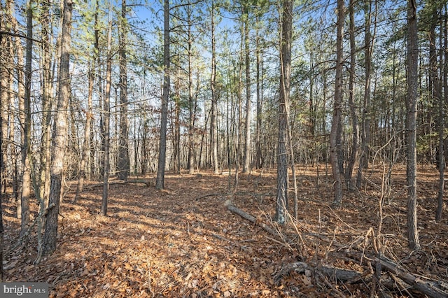 LOT6 Back Creek Rd, Gore VA, 22637 land for sale