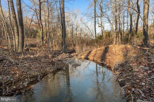 Listing photo 3 for LOT6 Back Creek Rd, Gore VA 22637