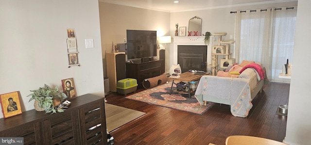 living room with crown molding and dark wood-type flooring