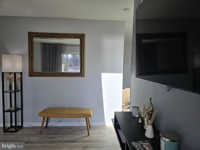 interior space with baseboards and wood finished floors