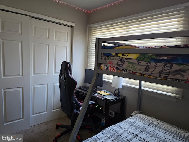 bedroom featuring carpet floors