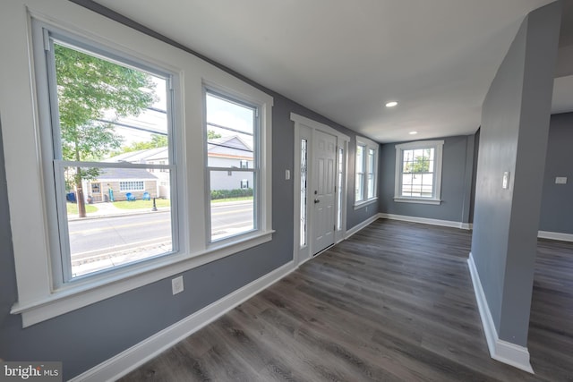 foyer entrance with dark wood-type flooring