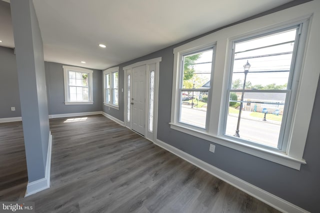 foyer featuring dark wood-type flooring