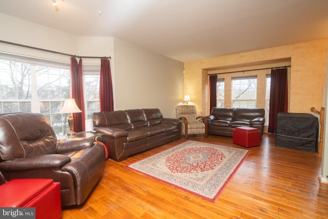 living room with light wood-type flooring