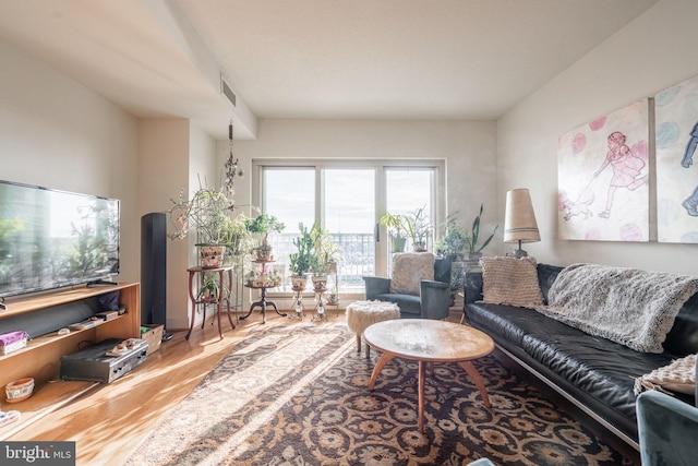 living room featuring hardwood / wood-style floors