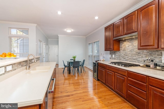 kitchen with a healthy amount of sunlight, stainless steel appliances, light countertops, and a sink