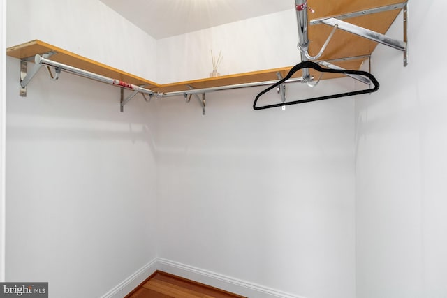 walk in closet with wood finished floors