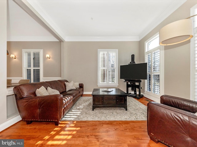 living room featuring light hardwood / wood-style floors and crown molding