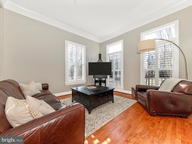 living room featuring crown molding and wood-type flooring