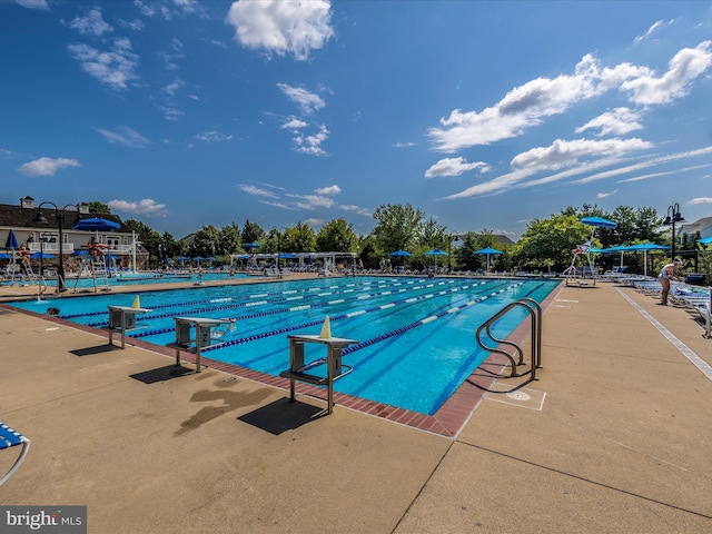 view of swimming pool