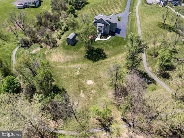 bird's eye view