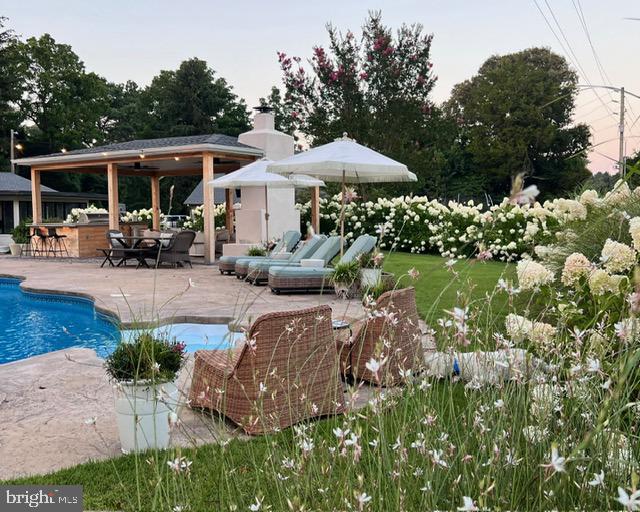 view of pool featuring a patio and an outdoor bar