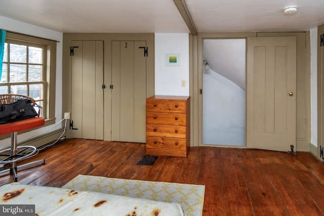 interior space with multiple closets and wood-type flooring