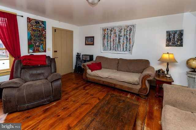 living room with hardwood / wood-style flooring