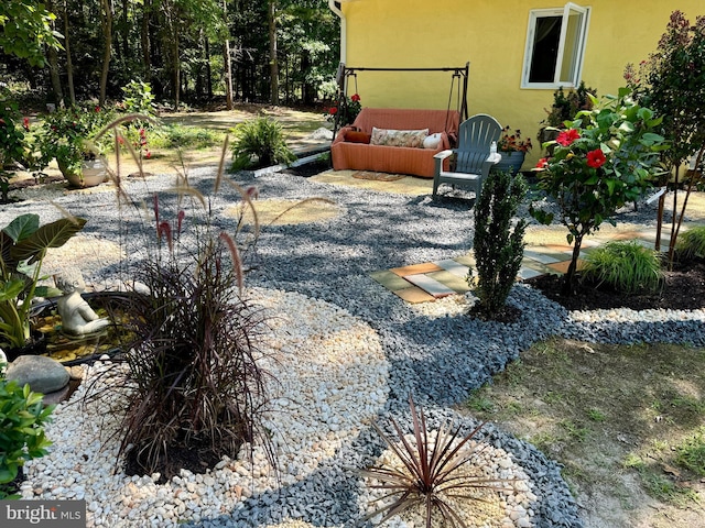 view of yard featuring a patio area