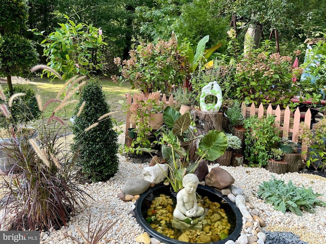 view of yard featuring a small pond