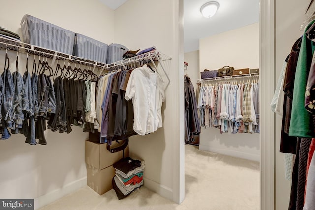 spacious closet featuring carpet flooring